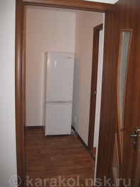 Двухкомнатная квартира по Абдрахманова: Коридор, холодильник