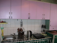 Двухкомнатная квартира по Тыныстанова (1 Мая): Кухня, плита, холодильник, посуда