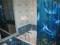 Двухкомнатная квартира по Тыныстанова (1 Мая): Ванная, санузел